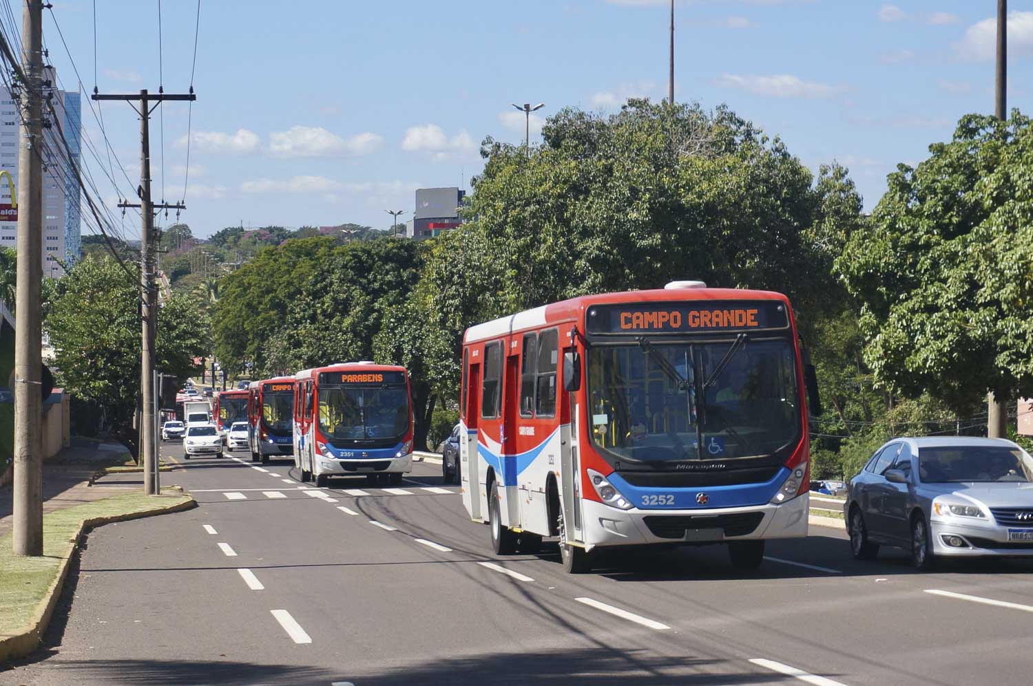 onibus domingo